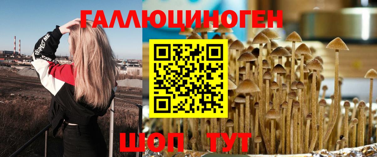 Псилоцибиновые грибы Psilocybe  Вход с VPN  Малоярославец  Псилоцибиновые грибы мухоморы 