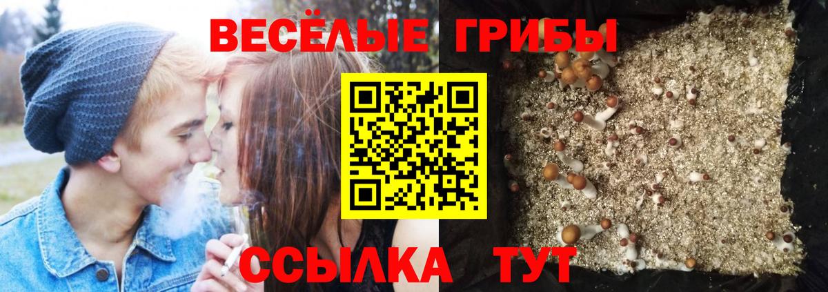 Галлюциногенные грибы GOLDEN TEACHER Малоярославец